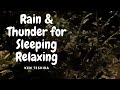 Rain & Thunder for Sleeping, Relaxing, Studying, for Insomnia