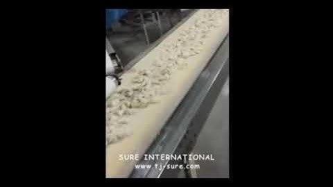 Quick frozen dumplings production line