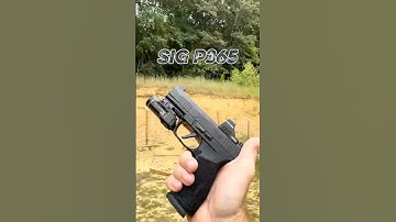 Sig P365