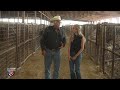 Life Inside the Screwworm Zone: How South Texas Ranchers and Sale Barns Are Adapting in Real Time