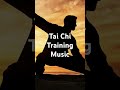 Tai Chi Music - best for training #martialartsmusic #taichimusic
