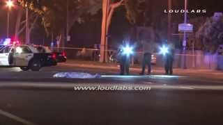 Pedestrian Killed by Hit & Run Driver / Lakewood
