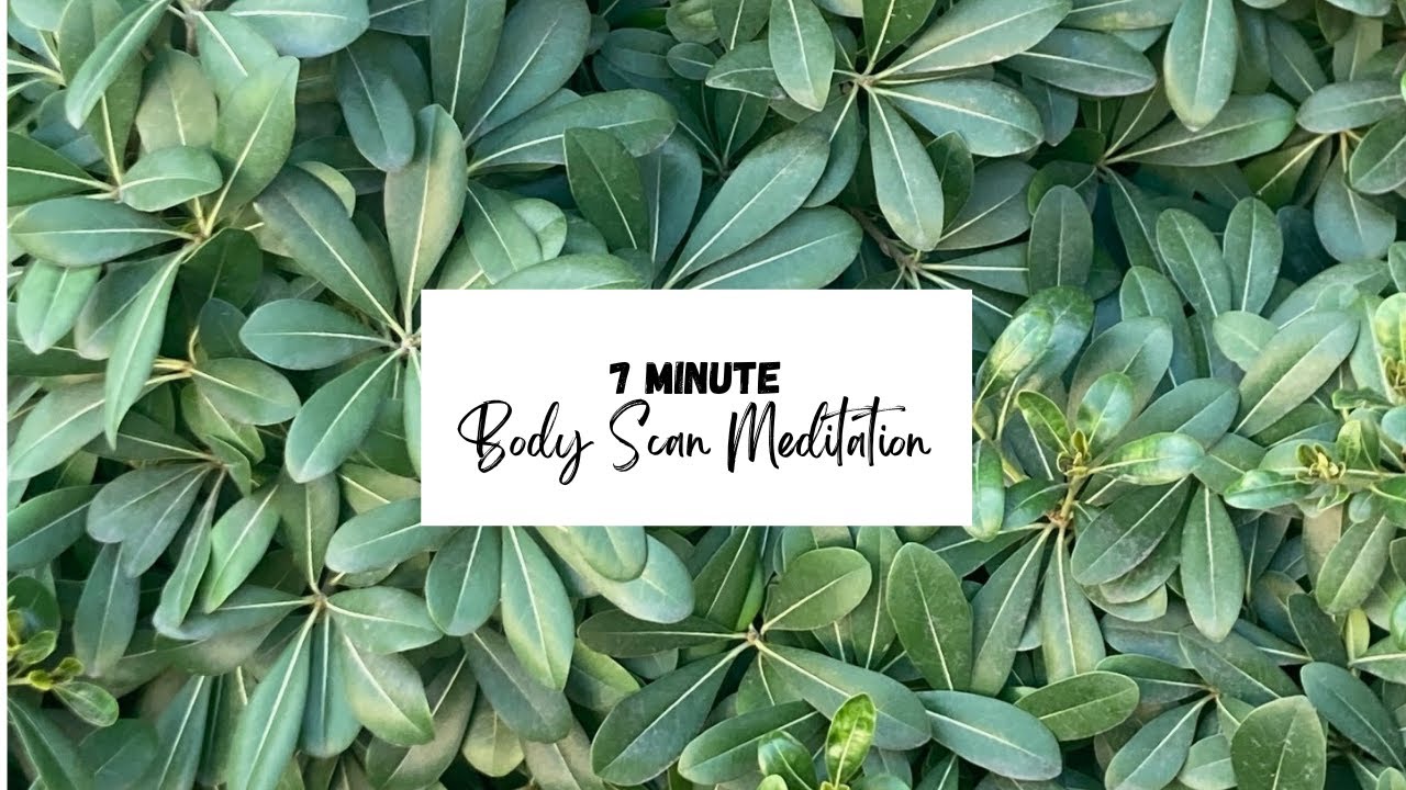 7 Minute Body Scan Meditation - YouTube