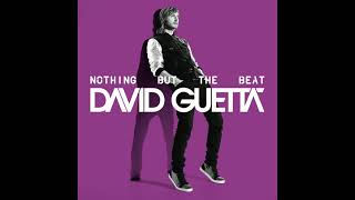David Guetta - Turn Me On (feat. Nicki Minaj) (slowed + reverb) Resimi