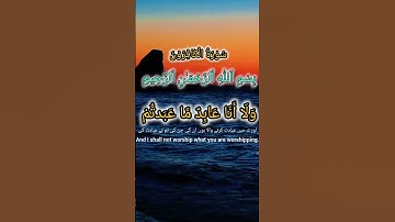 سورة الكافرون بصوت خاشع يهز القلب ❤️ #القرآن #تلاوة #سورة_الكافرون #قرآن #Quran #Tilawat 📿