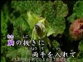 初恋ワルツ   野村雪子   カバー  三豆一七