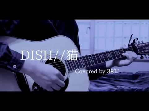 DISH//（北村匠海）猫 Covered by 38℃