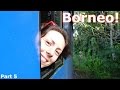 Borneo! | Motorbike! Fireflies! Trains! Rafting!