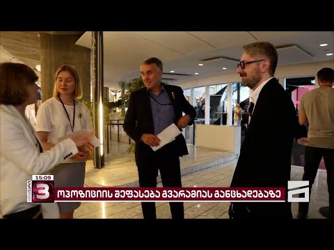 ფუნდამენტური ფართო გაერთიანება | ნიკა გვარამიას შეთავაზება და ოპოზიციის გამოხმაურებები