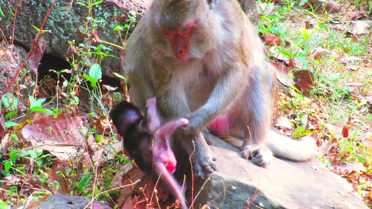 "OH GOD! 😱 Mum, Please Help Me—You Won't Believe What Happened Next!"