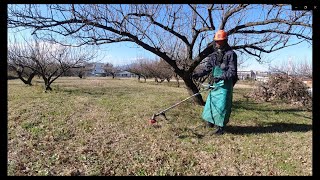 20191228 京浜変電所方面果樹園 株元・キワ刈り作業 ■草刈耐久シリーズ Part 2■
