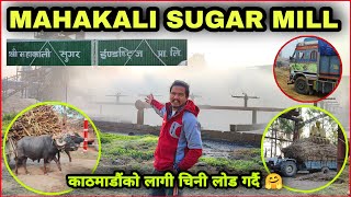 Truck Loading Time | Mahakali Sugar Mill Vlog | Nepali Trucker | Zunge Daai