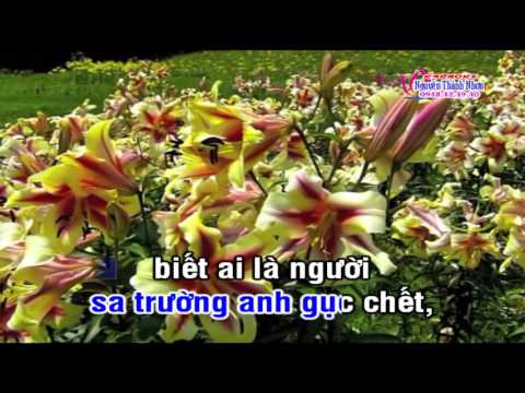 Karaoke trích đoạn CL - A KHẮC CHU SA