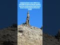 Lot ’s Wife" is a natural, 20-meter-high salt pillar located at Mount Sodom,