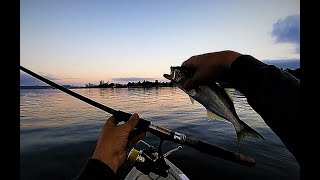 Fishing With Vintage Gear -   1982 Silstar 1100-66ST Spinning Rod.