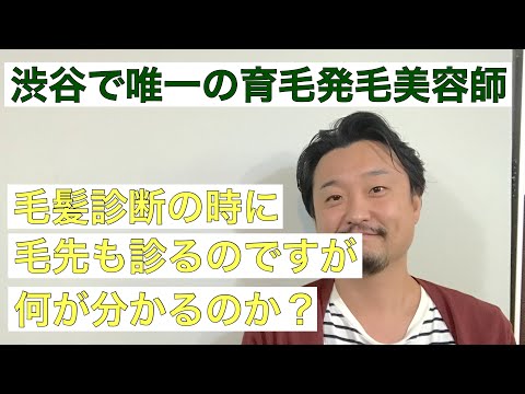 【３分で分かる】毛髪診断の時に毛先も診るのですが、それで何が分かるのか？