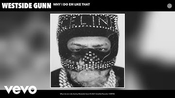 Westside Gunn - Why I do em Like that (Audio)