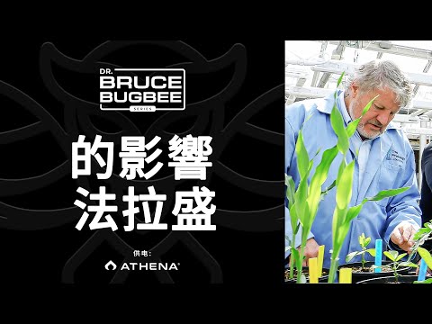 Bruce Bugbee系列—硅酸钾的作用