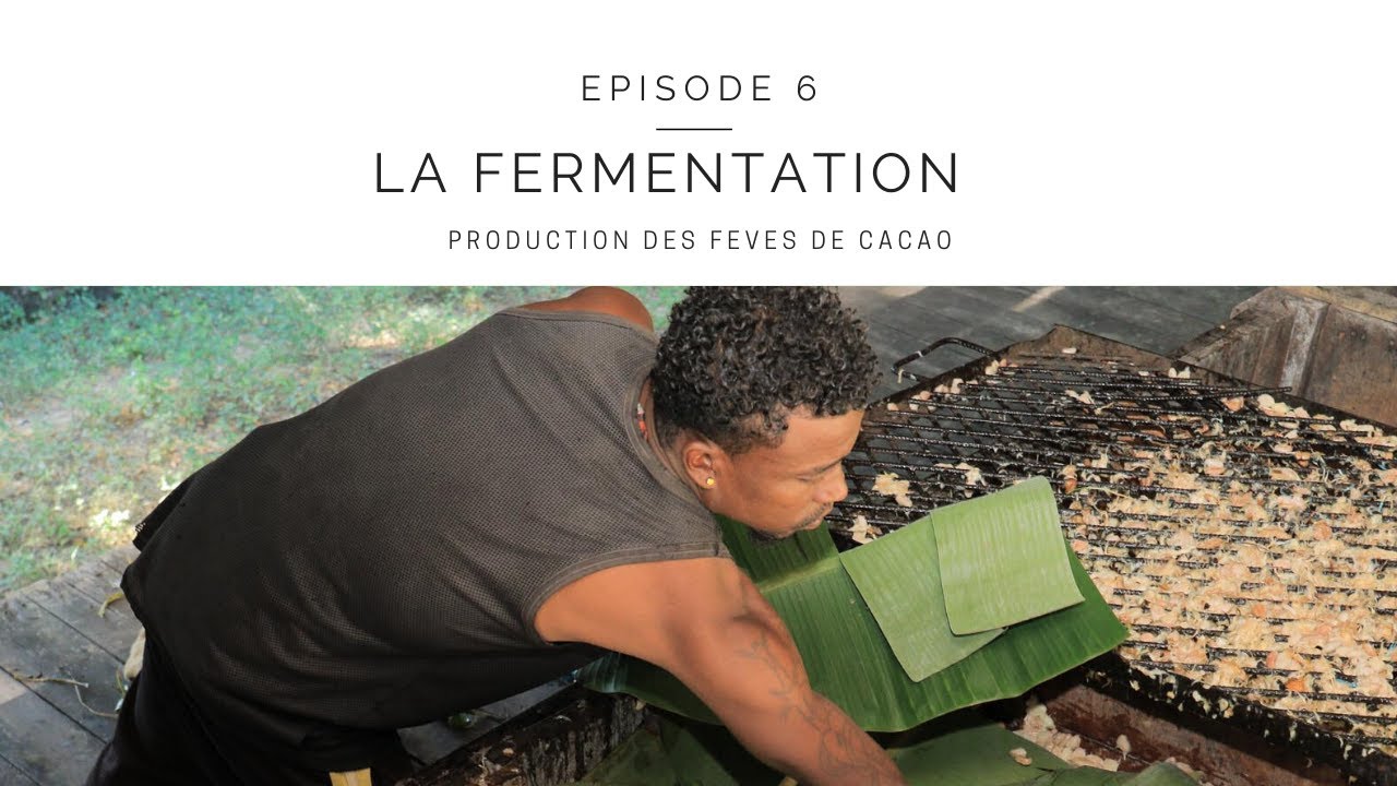 Eurafrik-7 Côte d'Ivoire - ⚠️IMPORTANT: Après fermentation, le séchage des  fèves de cacao et autres matières se fait en moins de 30 minutes⏰ .  Sécher-Griler-Torréfier sans odeurs les fèves de cacao et