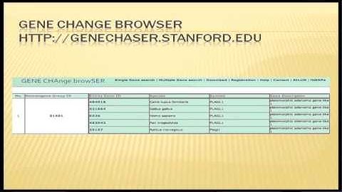 Zen and the Art of Microarray Analysis (3): Integrating Publicly Available Data Into Your Analysis