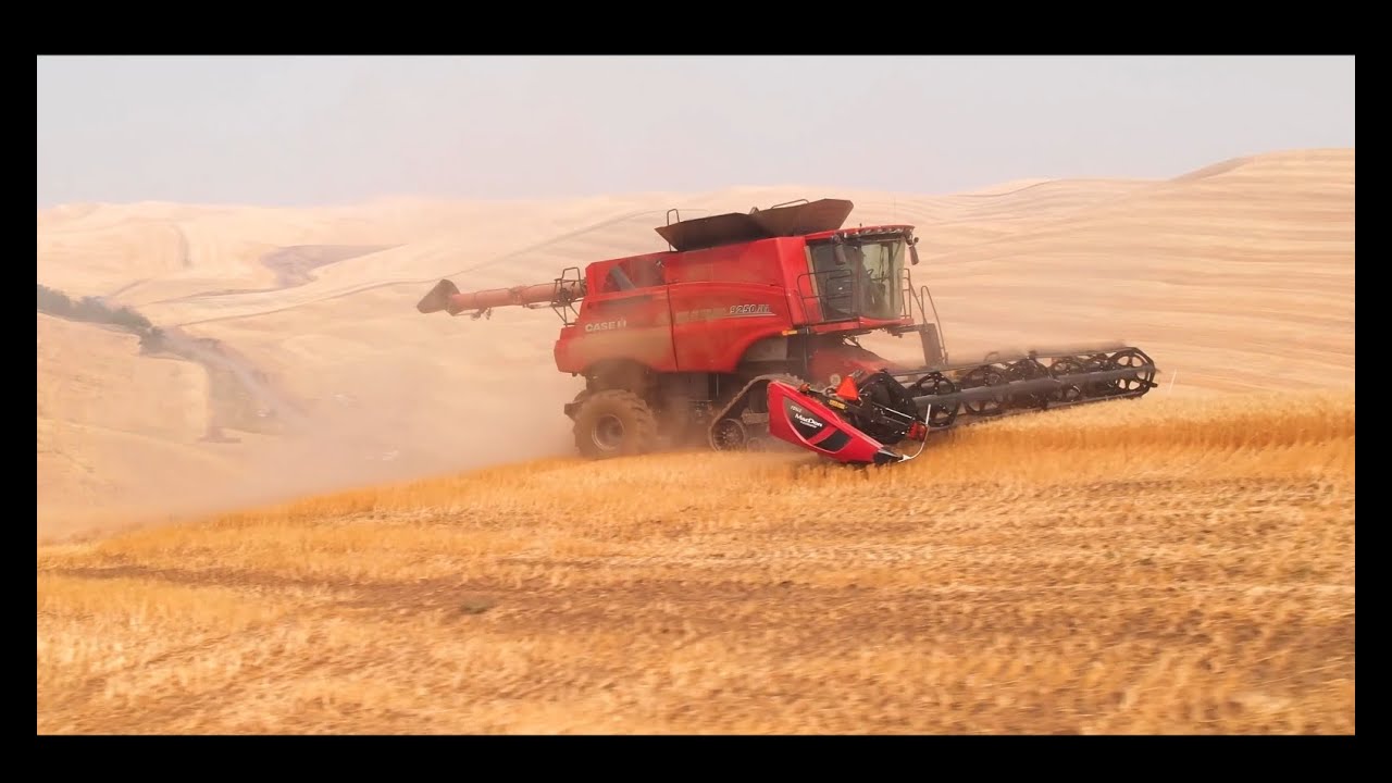 CaseIH 9250 Hillside Combine with Tracks!