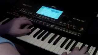 MARIAN GRIGORE & KORG PA600 sarba lui MARCEL BUDALA