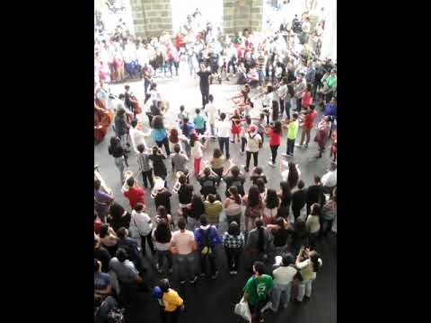 Guadalajara guadalajara  flash mob