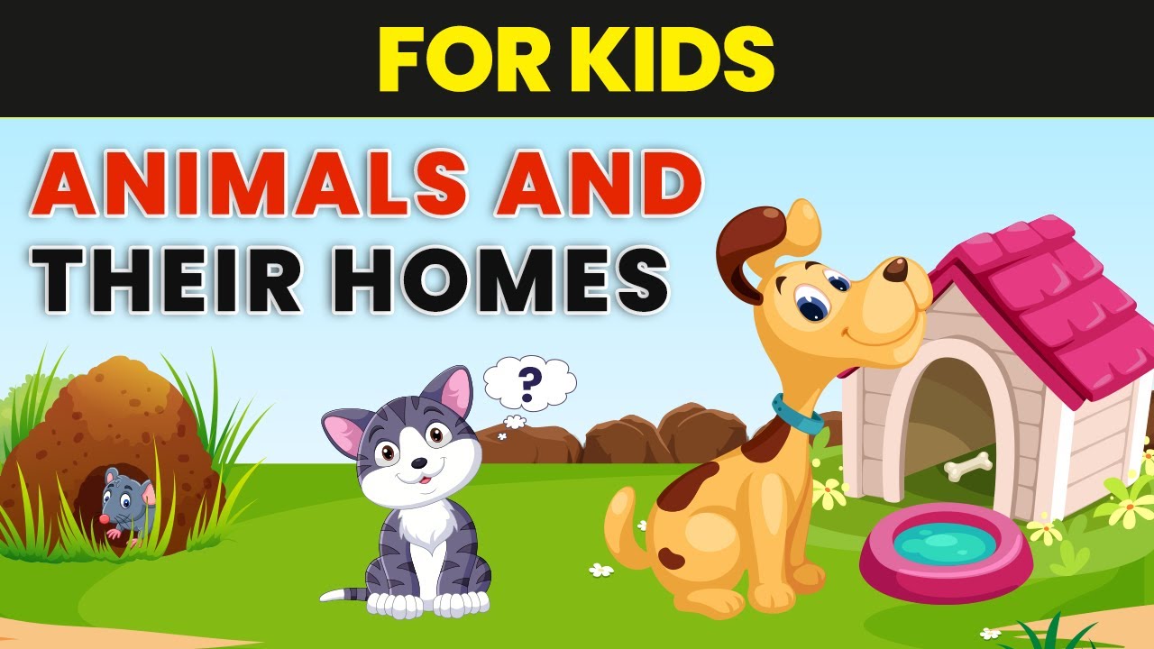 Animals and Their Homes - Animal Homes Vocabulary for Kids | Kindergarten  EVS - YouTube
