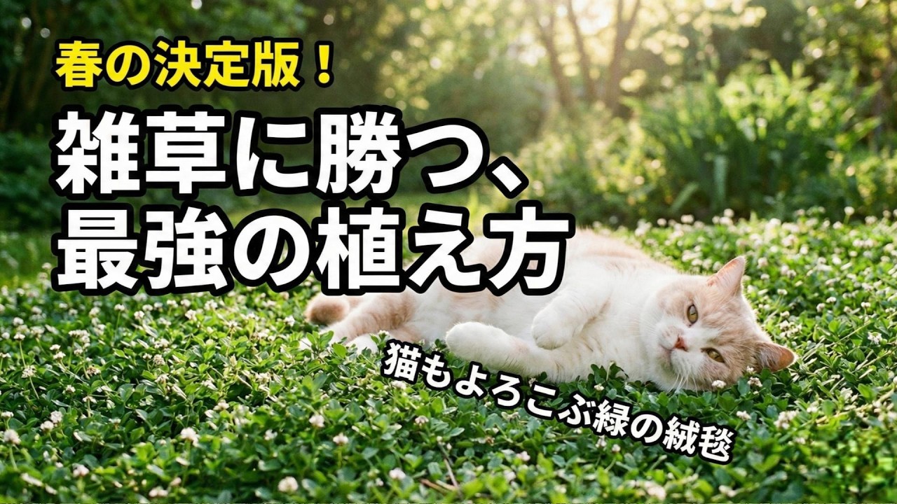 動く雑草 YouTube