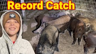 Record Hog Catch in One Drop!