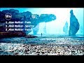 アランウォーカーの神BGM３選