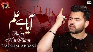 Aaya Hai Alam | Mesum Abbas | Nohay | Moharram | TP Muharram