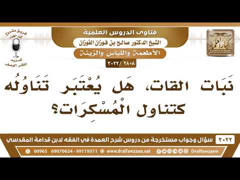 [2808 -3022] نبات القات هل يعتبر تناوله كتناول المسكرات؟