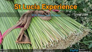 St Lucia Experience - 3 May 2024 - Full day around Town