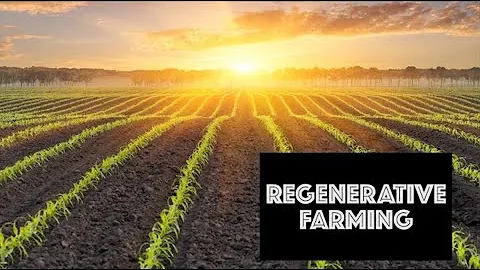 Regenerative Farming | Increasing Productivity while Reducing Environmental Impacts
