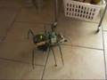 Exapod Robot He Walks Avoiding Obstacles
