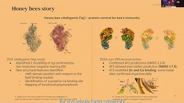 Accelerating biological research using AlphaFold - Oleg Kovalevskiy