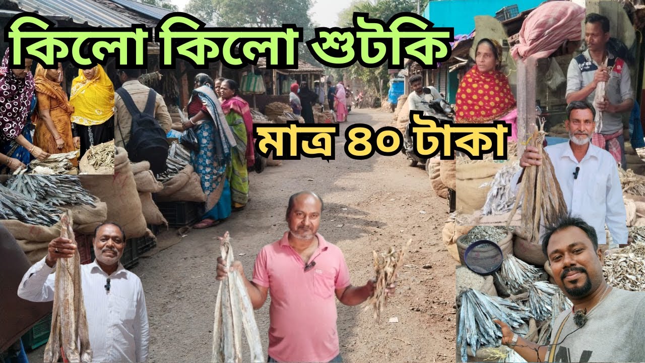 পশ্চিমবঙ্গের সবচেয়ে বড় শুটকি মাছের আরও এক হোলসেল মার্কেট খুঁজে পাওয়া