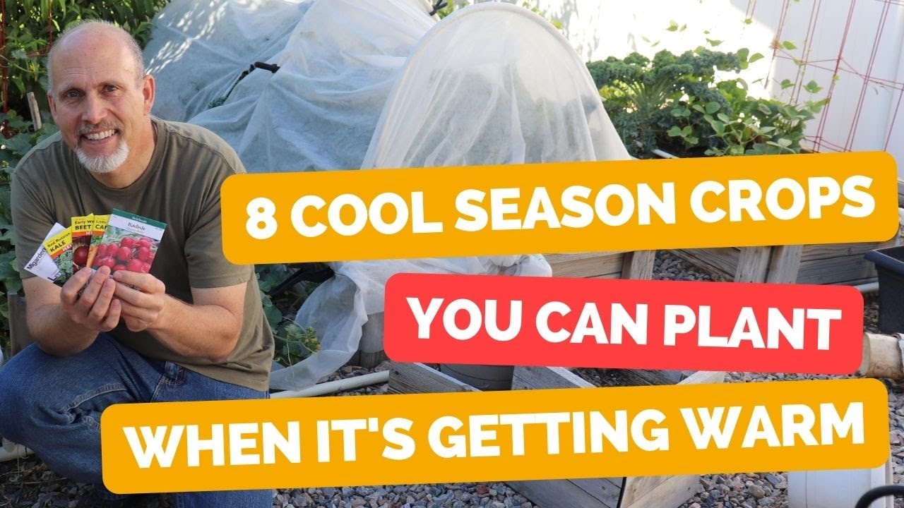 8 Cool Season Crops you can still plant when it's warm YouTube