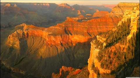 أحمد تميم المراغي  #سورة - ص