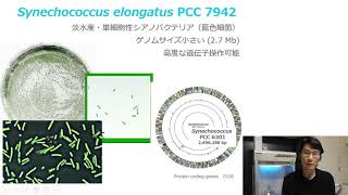 岩崎秀雄　時間生物学講義3/6 「バクテリアを用いて生物時計の原理を読み解く」生物時計の最も単純な実験系シアノバクテリア（早稲田大学、2020）