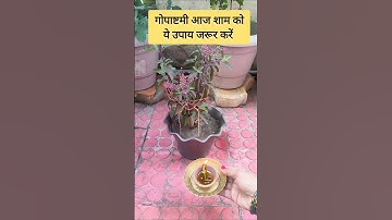 29 अक्टूबर बुधवार गोपाष्टमी शाम को ये उपाय जरूर करें #facts #ytshorts #upay #gaumata