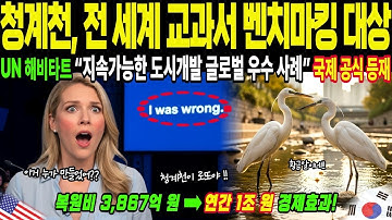 [해외감동사연] 한국 청계천 또 난리났다-  천연기념물 수달,백로 등장  충격 영상 CNN 다큐멘터리 시청률 1위 기록