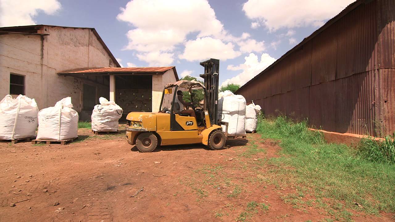 Removing Pesticide Stockpiles in Africa