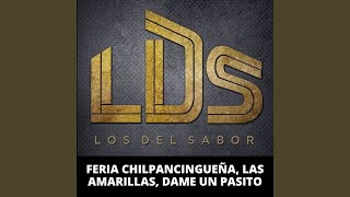 Video thumbnail of "Los Del Sabor - Feria Chilpancingueña, las Amarillas, Dame un Pasito"