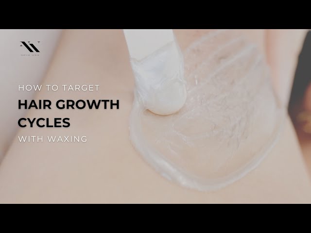 How To Target The Hair Growth Cycles With Waxing 