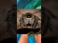 Water Slide Sends Them Straight To... OMG | #short #youtubeshort #fyp