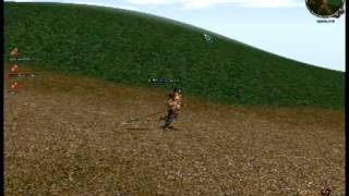 Metin2 - Bug