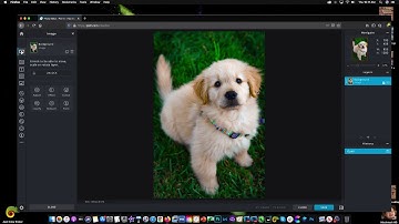 Pixlr X Free Online Photo Editor