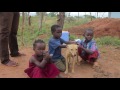 World Animal Protection end of year film -  India